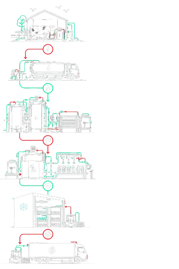 Ice cream cold chain process from raw milk storage to distribution