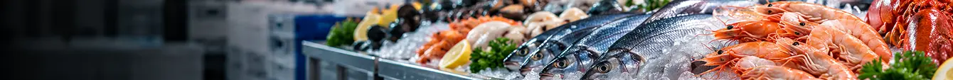  Fisheries & Seafood Refrigeration Solutions ,Premium export facility in UAE