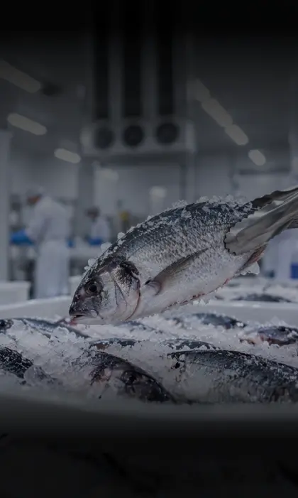  Fisheries & Seafood Refrigeration SolutionsFisheries & Seafood Refrigeration Solutions