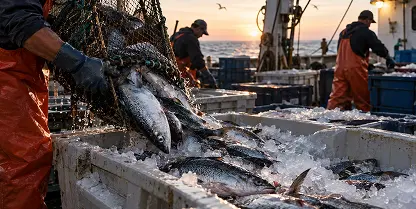  Fisheries & Seafood Refrigeration Solutions ,Frozen dairy refrigeration