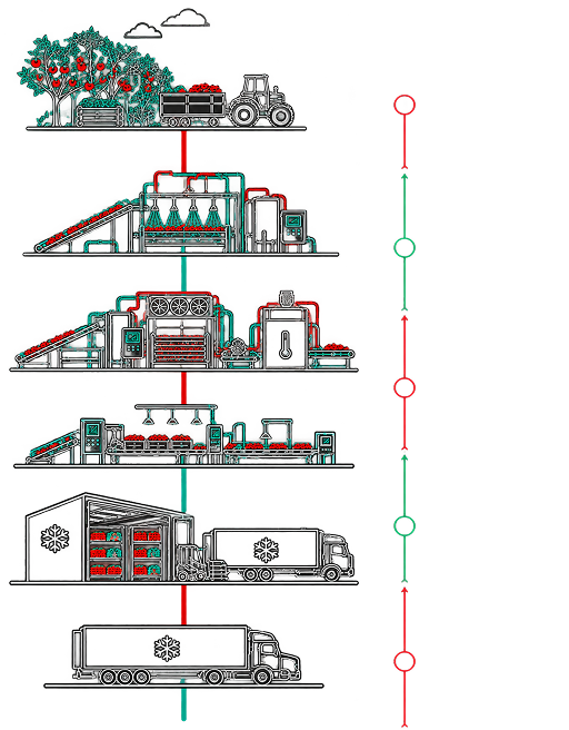 Ice cream cold chain process from raw milk storage to distribution
