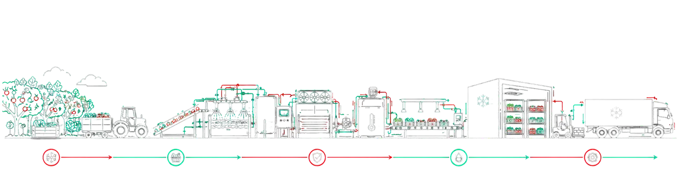 Ice cream cold chain process from raw milk storage to distribution