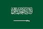  Fisheries & Seafood Refrigeration Solutions ,Large-scale ice cream plant in Saudi Arabia