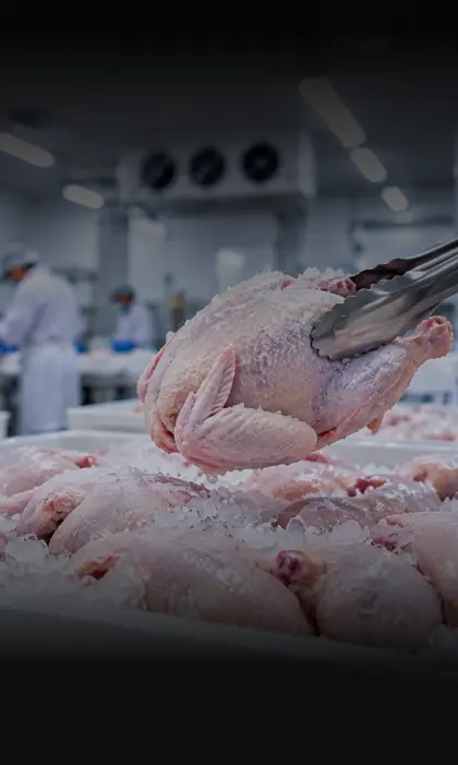 poultryIce Cream and Frozen Dairy Refrigeration