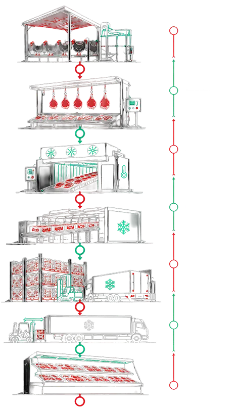 poultryIce cream cold chain process from raw milk storage to distribution